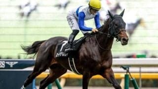 【日経新春杯見どころ】着実に地力強化しているロードデルレイ