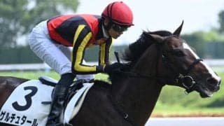 【京成杯見どころ】ポテンシャルが高いゲルチュタール