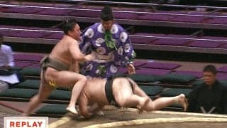 「行司泣きそう」力士と行司が同時に飛んだ“珍しい”取組 際どすぎる物言いでの一コマに同情の声も