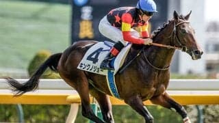 【京成杯想定騎手】キングノジョーはC.ルメール騎手、パーティハーンは戸崎圭太騎手