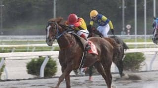 高知競馬初の“賞金1億円馬”がラストラン迎える 19日には引退式も実施