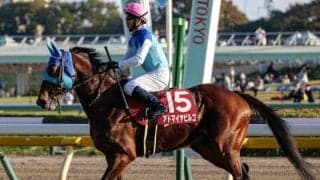 【先週のJRA抹消馬】5.8億円馬アドマイヤビルゴ、芝中距離で活躍のカレンルシェルブルなど