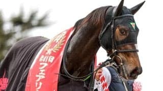 エリカエクスプレスがフェアリーSでレコードV エピファネイア産駒のトレンドに変化か