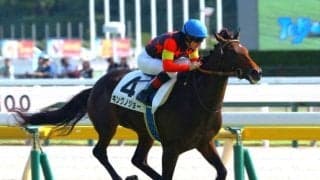 【京成杯予想オッズ】キングノジョーが予想1番人気