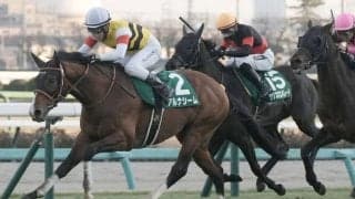 【中山金杯】アルナシームが重賞2勝目…混戦から抜け出す