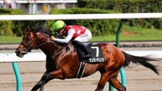 【日経新春杯展望】ハンデGIIで馬券傾向がはっきりしているレース