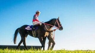 三冠馬コントレイル産駒が今夏いよいよデビュー 25年新種牡馬たちの評判は？