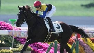 京成杯は社台ファーム生産馬が3連覇中 2.7億円ホースなど今年の出走馬は？