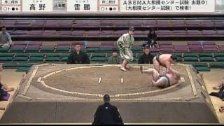 「かわいいしカッコよい」“全方位眼福”甘いマスクの27歳力士、隙のない造形美にファン脱帽「お見事です」