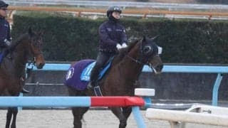 ドンフランキーなど、先週の入厩情報/栗東トレセンニュース