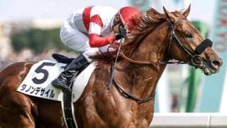 【AJCC想定】ダノンデサイル、レーベンスティールなど20頭