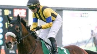 父の産駒連続年重賞制覇記録を18に伸ばすか 日経新春杯にキングズパレス参戦