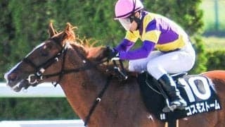 27年ぶりの快挙へ 芝未勝利ながらもGIで上々の走り見せる“二刀流”が京成杯制覇を狙う