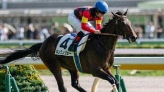 セレクト3.1億円の超良血馬 京成杯Vで史上最高額のJRA重賞ウイナーとなるか