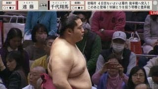 寡黙なイケメン力士のキャラが崩壊？ 可愛すぎる“陽キャ”な化粧まわしが話題「ギャップがすごい」「ほっこりするw」反響さまざま