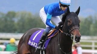 【日経新春杯予想】AI大注目のホールネス 「連軸を任せられそう」な理由とは