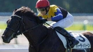 金子オーナー×友道厩舎の“ダービータッグ” 2.7億円良血馬が京成杯に挑む