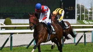 オールザワールドが英障害G1に登録 現地競走部長も歓迎「大変喜ばしいこと」