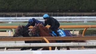 ビザンチンドリーム、AJCC1週前追い切り速報/栗東トレセンニュース