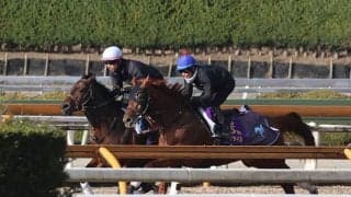 ダノンデサイル、AJCC1週前追い切り速報/栗東トレセンニュース