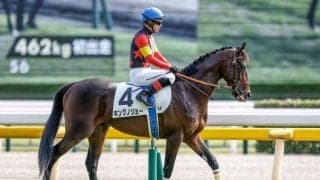 【京成杯出走馬・騎手確定】キングノジョー＆C.ルメール騎手、パーティハーン＆戸崎圭太騎手など14頭