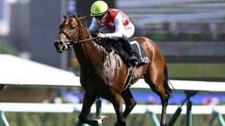 【日経新春杯出走馬・騎手確定】ヴェローチェエラ＆川田将雅騎手、ホールネス＆坂井瑠星騎手など16頭