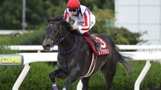 オマツリオトコが園田移籍へ 22年の兵庫ジュニアGP覇者