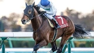 23年ステイヤーズS覇者 アイアンバローズが放牧先で病気のため死す