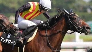 きょうだいに重賞馬3頭 日経新春杯出走ヴェルトライゼンデの半妹が同場同日V狙う