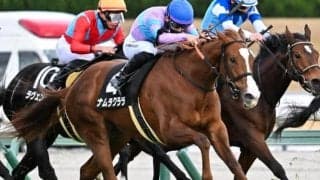 半姉は重賞5勝馬ナムラクレア ナムラクララが紅梅Sでオープン初V狙う