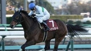 アイアンバローズが病気のため死亡