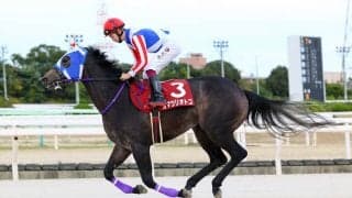 オマツリオトコが抹消、地方へ移籍