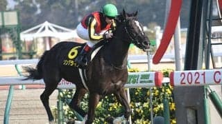 全馬重賞勝ち、6頭中4頭がGI馬 「サ行」の馬が紅梅ステークスを勝ったら要注目