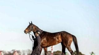 【日経新春杯枠順確定】ロードデルレイは4枠8番、ヴェローチェエラは7枠13番