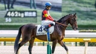 【京成杯枠順確定】キングノジョーは6枠9番、ゲルチュタールは5枠8番