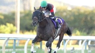 ダートグレード競走3勝のディクテオンが抹消 大井競馬に移籍へ