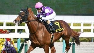 【日経新春杯】近5年の馬番別単勝回収率は驚異の279％ 中京芝2200mは11番枠が波乱を巻き起こす！