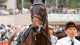 中京ダートはドレフォン産駒に注目 ローズスターの差し切りだ