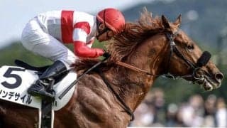 【AJCC想定馬・騎手】ダノンデサイル、コスモキュランダなど20頭