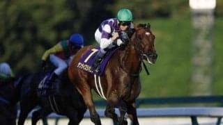 【プロキオンS想定馬・騎手】サンライズジパング、オメガギネスなど20頭