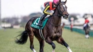【小倉牝馬S想定馬・騎手】クイーンズウォーク、アリスヴェリテなど18頭