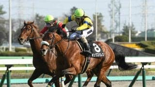 【競馬予想】日経新春杯、タフな持久力勝負が見込まれる一戦にあって不気味な「関東馬」