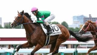 【競馬血統予想】京成杯で注目は？　「出世レース」は中山コースが得意な血を持つ２頭に期待