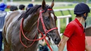 前走でBCジュベナイル挑戦のエコロアゼルが帰国初戦 日曜中山で2勝目狙う