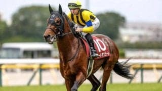 23年の目黒記念覇者 半兄に続き障害デビューVなるか