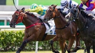 【日経新春杯／穴ライズ】「スピード違反」の調教パートナーを務めた実績馬の逆襲　単勝オッズ“30倍”前後の妙味に一発の気配