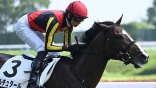 【京成杯予想】確かな馬力とコーナリングの巧さが重要!? 前走の馬体重が的中のカギを握る