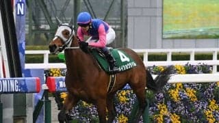 【日経新春杯予想】中京芝2200mの重賞は大手牧場が圧倒！ 前走で大敗馬に求められる巻き返しの条件とは