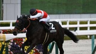 【日経新春杯前日オッズ】ショウナンラプンタが5.4倍で1番人気