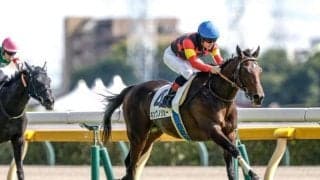 【京成杯前日オッズ】キングノジョーが2.5倍で1番人気